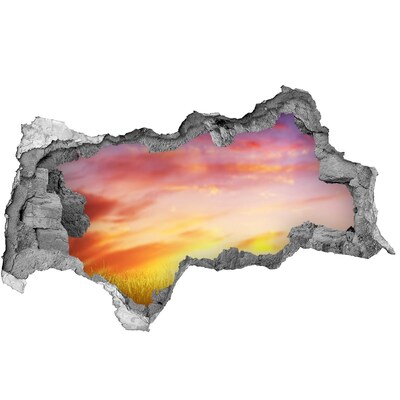 Nálepka fototapeta 3D výhled Západ slunce nad loukou