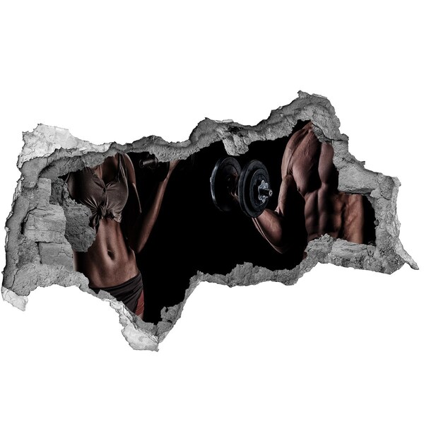 Samolepící díra na stěnu Tělocvična doma