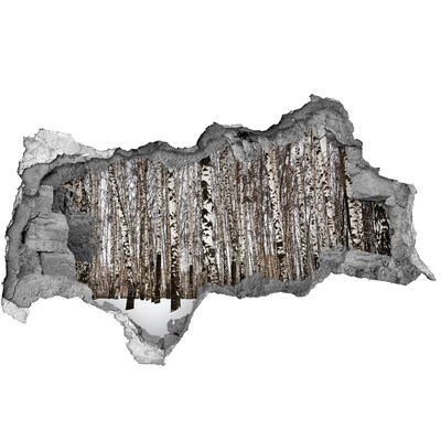 Nálepka fototapeta 3D výhled Zimní březový les