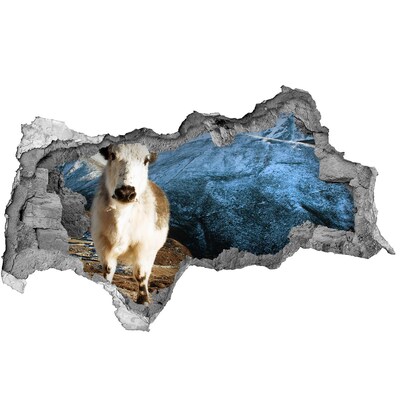 Díra 3D fototapeta nálepka Horský buvol v díře ve zdi