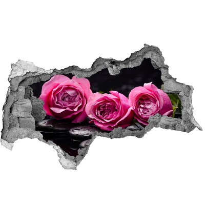 Samolepící díra na stěnu Růžové růže