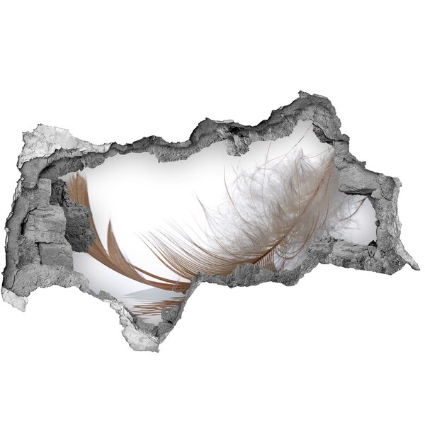 Díra 3D fototapeta na stěnu Jemné peří ve vodě