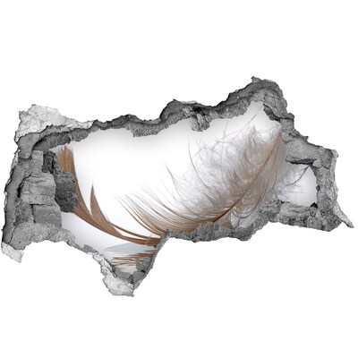 Díra 3D fototapeta na stěnu Jemné peří ve vodě