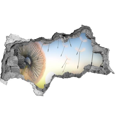 Samolepící díra nálepka Pampelišky na pozadí západu slunce