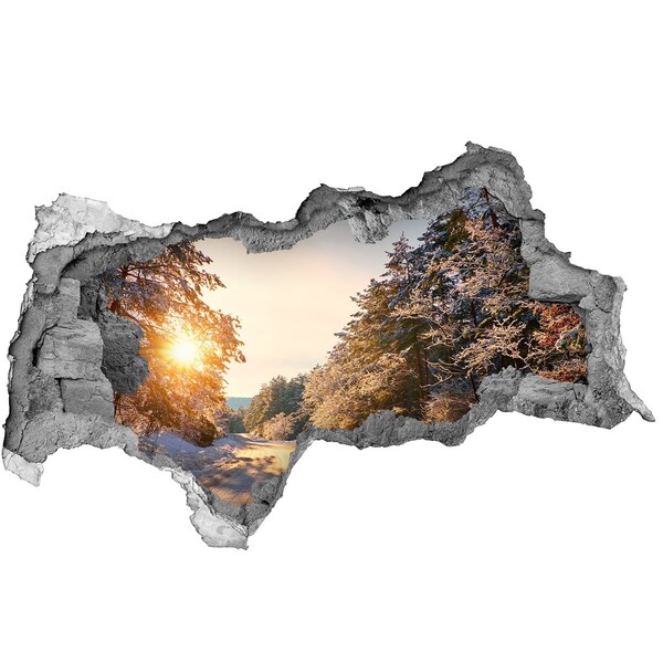 Nálepka fototapeta 3D Cesta v lese zima
