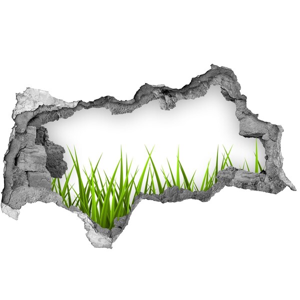 Samolepící díra nálepka beton Zelená louka za zdí