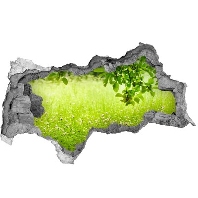 Nálepka fototapeta 3D výhled Zelená louka