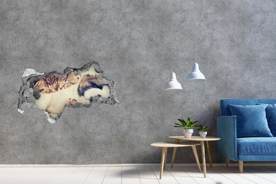 Díra 3D fototapeta na stěnu Dvě kočky a pes