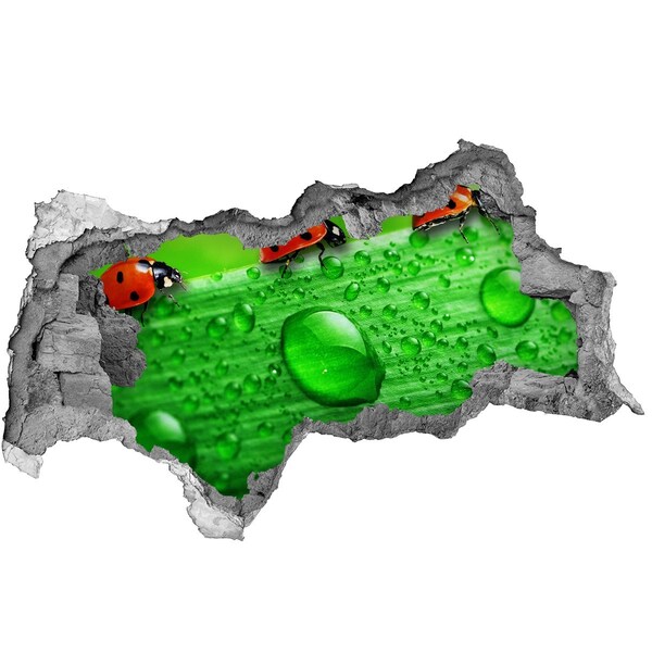 Díra 3D fototapeta Kapka rosy na listu