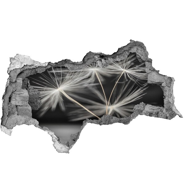 Samolepící díra nálepka Květy pampelišky v betonu