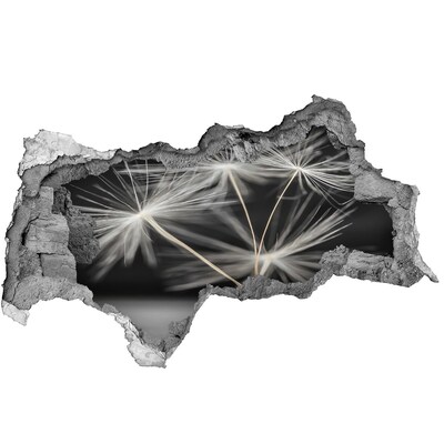 Samolepící díra nálepka Květy pampelišky v betonu