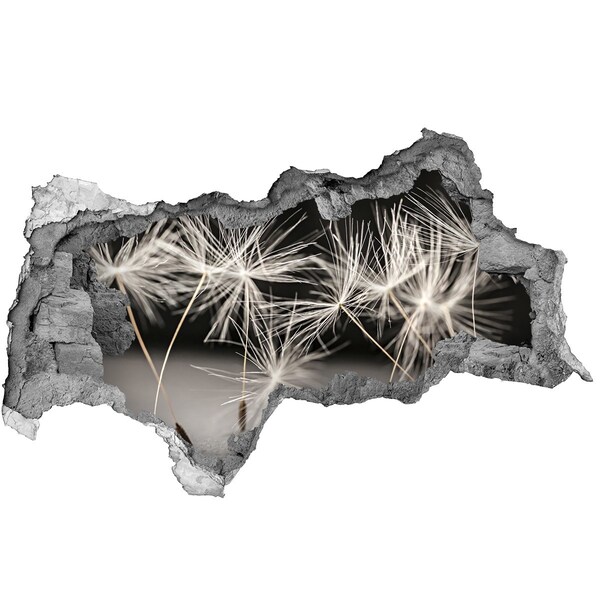 Samolepící díra nálepka Pampeliškový sen