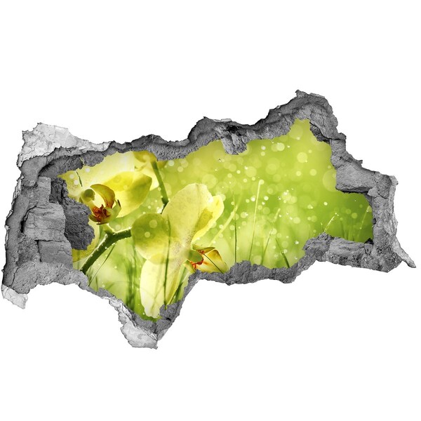 Samolepící díra nálepka Květinová oáza v zeleni