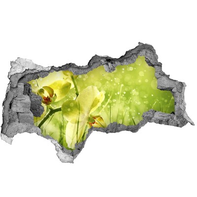 Samolepící díra nálepka Květinová oáza v zeleni