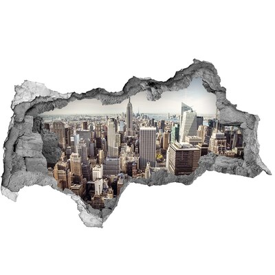 Fototapeta díra na zeď 3D Pohled na New York