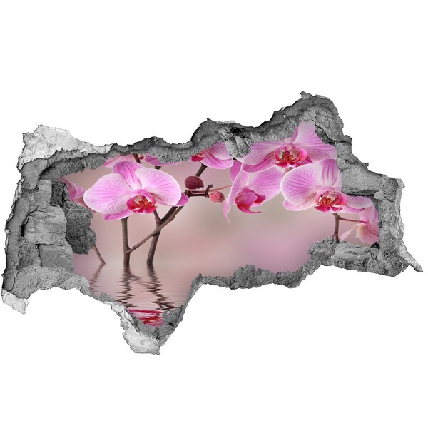 Samolepící díra na stěnu Růžová orchidej