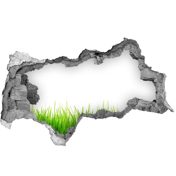 Samolepící nálepka Zelená louka za zdí