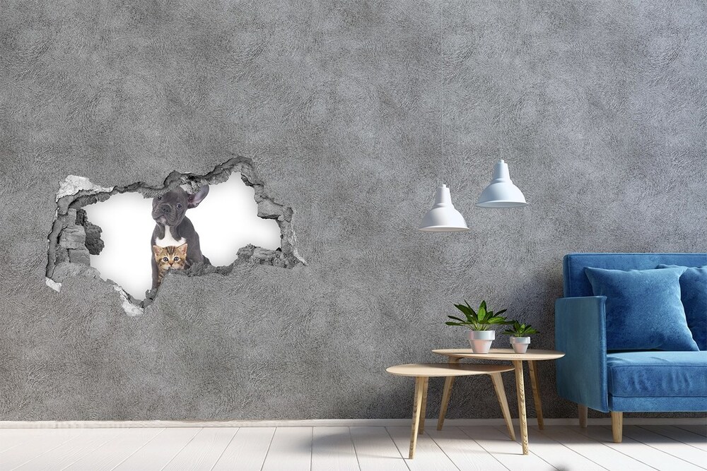 Díra 3D fototapeta na stěnu Pes a kočka