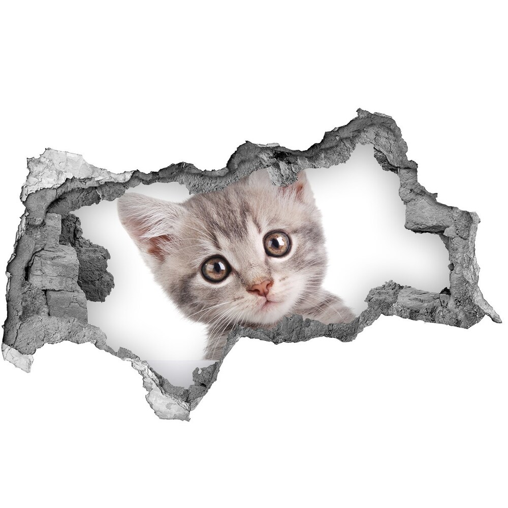 Díra 3D fototapeta na stěnu Šedá kočka