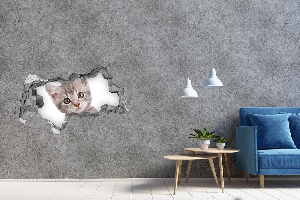 Díra 3D fototapeta na stěnu Šedá kočka