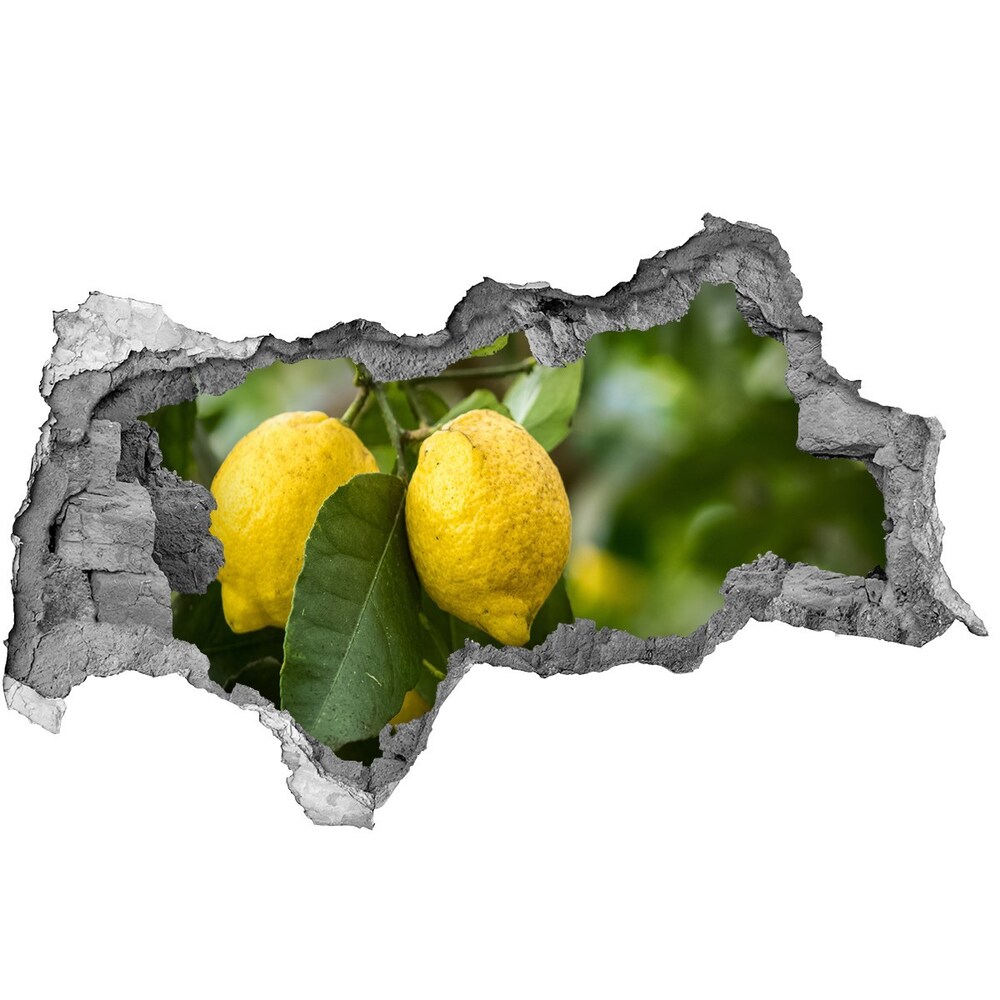 Samolepící nálepka Citrony na stromě