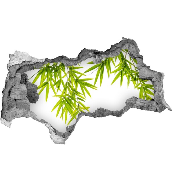 Samolepící díra nálepka Zelený bambus skrz díru ve zdi
