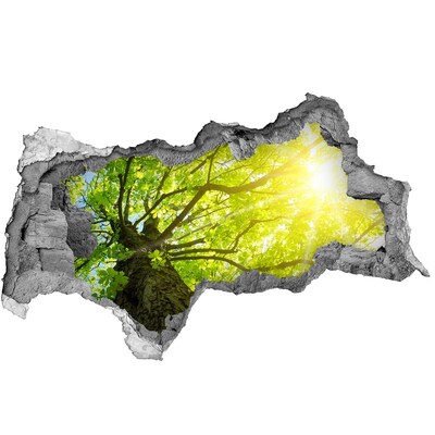 Samolepící díra nálepka Zelený les v paprscích slunce