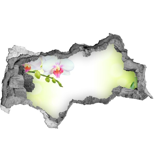 Fototapeta díra na zeď Květy orchidejí v bambusové zahradě