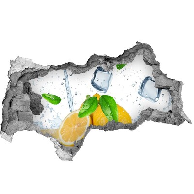 Samolepící nálepka Citronové osvěžení