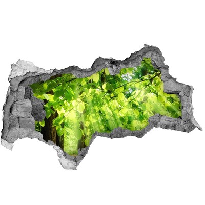 Nálepka fototapeta 3D výhled Zelený les v paprscích slunce