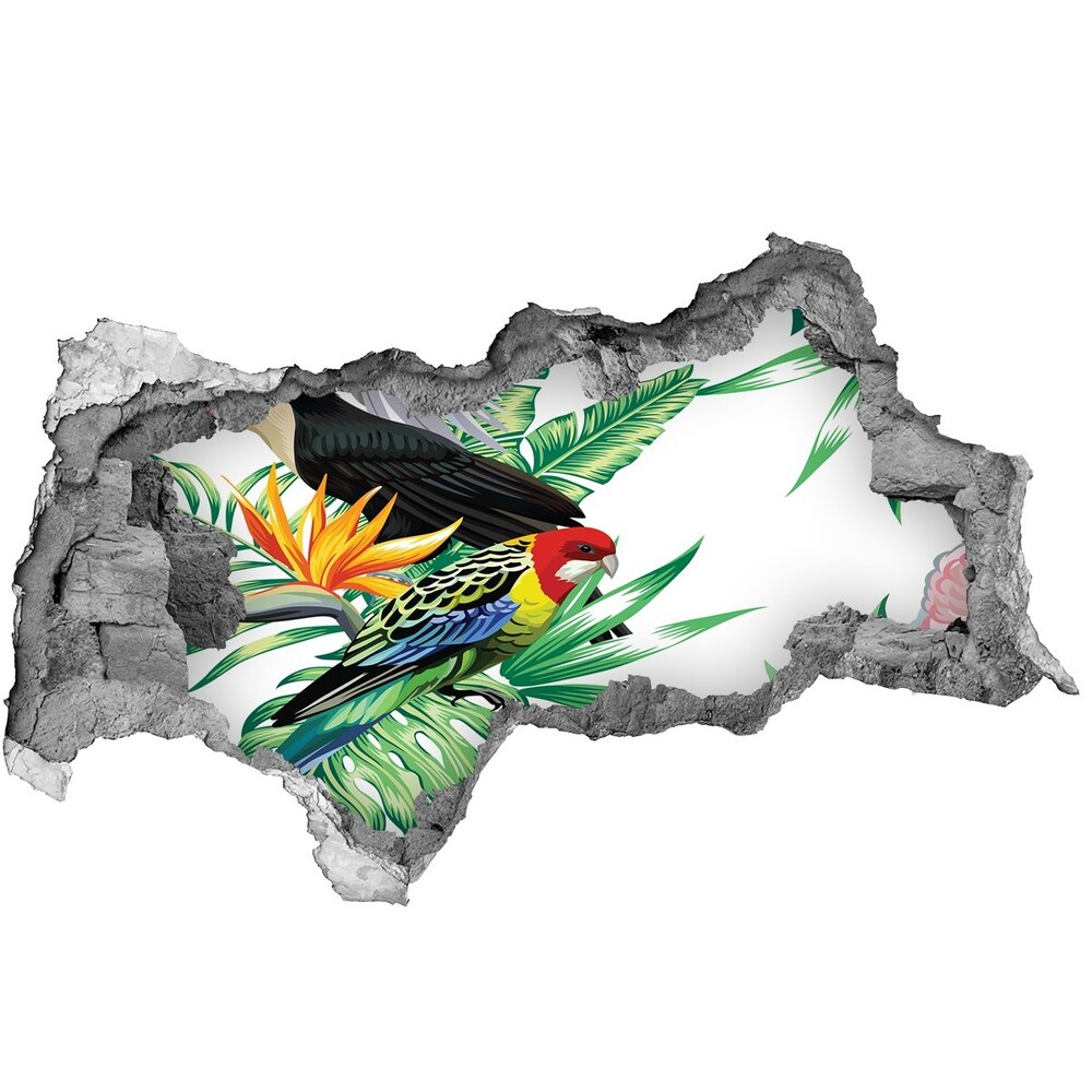 Díra 3D fototapeta nástěnná Tropy ptáci