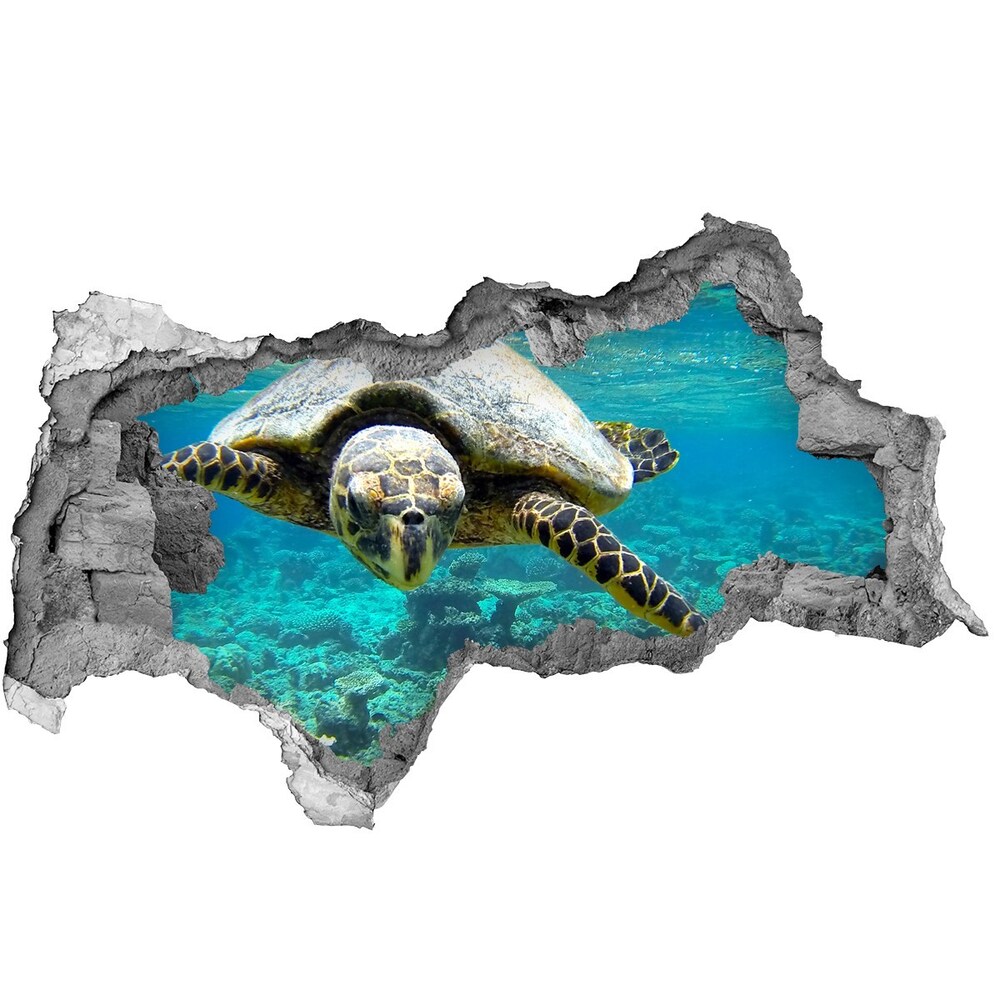Díra 3D fototapeta nálepka Mořská želva
