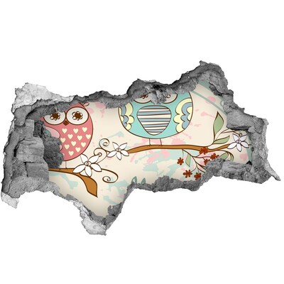 Fototapeta díra na zeď Sova v díře ve zdi