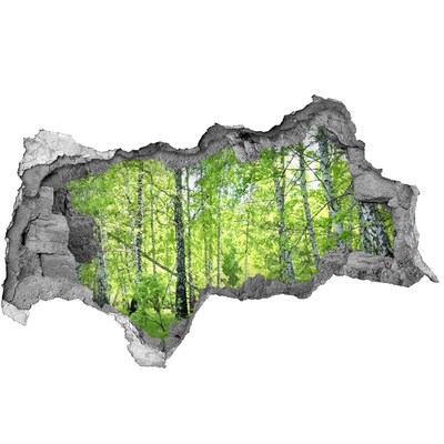 Samolepící díra nálepka Zelený les ve slunečním světle