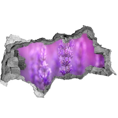 Samolepící díra nálepka beton Levandulové květy v ranním světle