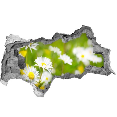 Samolepící díra nálepka Květinový ráj za zdmi