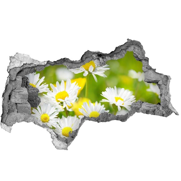 Samolepící díra nálepka Květiny na louce