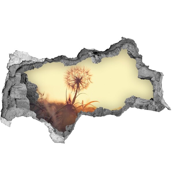 Samolepící díra na stěnu Květina v paprscích slunce