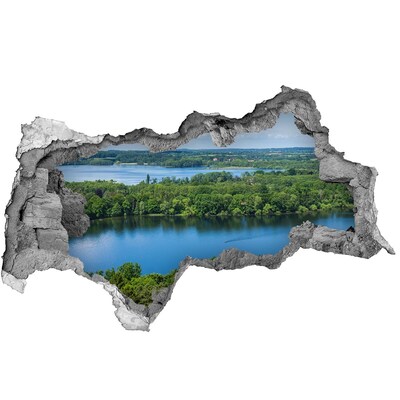 Nálepka fototapeta 3D výhled Výhled na jezero uprostřed zeleně