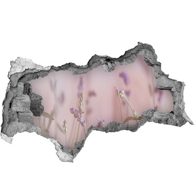 Samolepící díra na stěnu nálepka Květinová louka za zdí