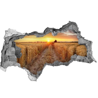 Nálepka fototapeta 3D výhled Zlatý západ slunce nad obilným polem