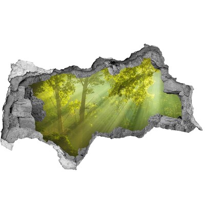 Nálepka fototapeta 3D výhled Zelený les se slunečními paprsky