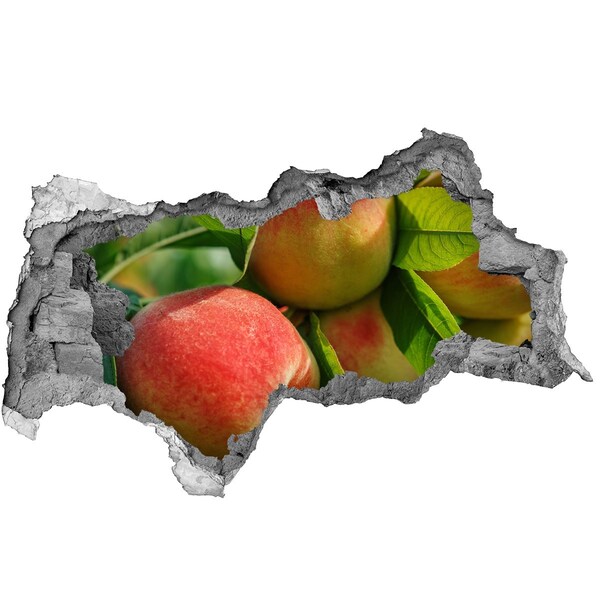 Samolepící nálepka beton Jablečný sad