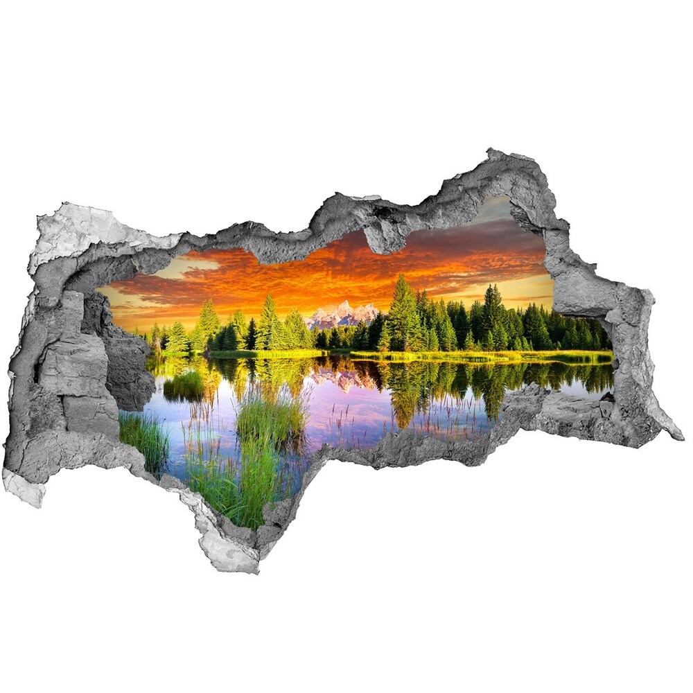 Nálepka fototapeta 3D výhled Řeka v lese