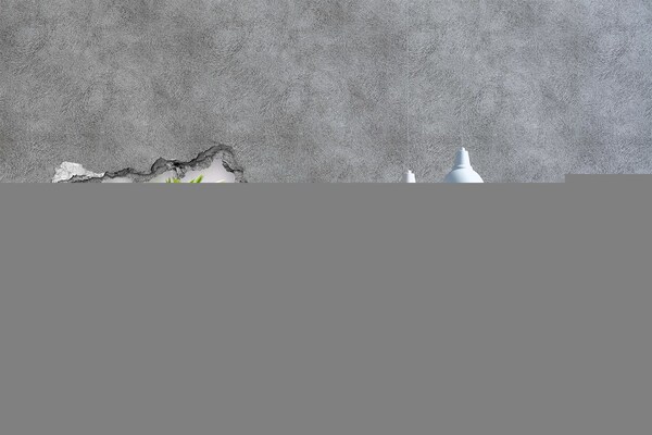 Fototapeta díra na zeď Květinový ráj za zdí