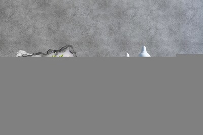 Fototapeta díra na zeď Květinový ráj za zdí