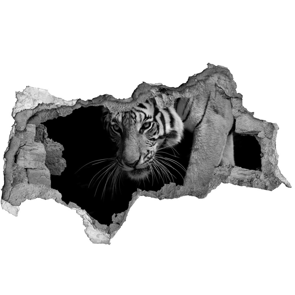 Díra 3D foto tapeta nálepka Tygr