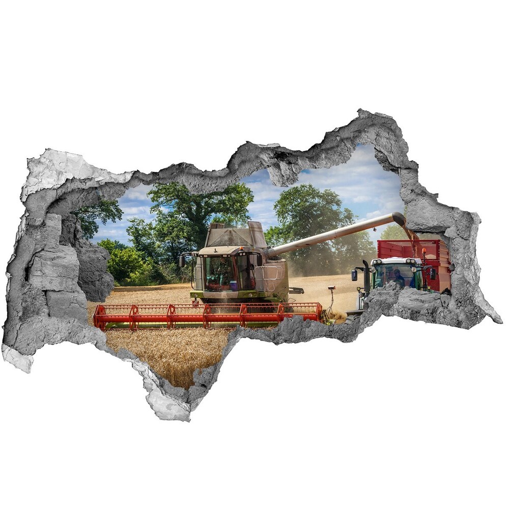Fototapeta díra na zeď Kombajn a traktor