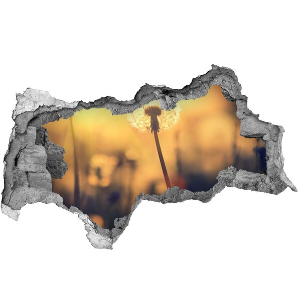 Samolepící díra na stěnu Pampeliška v paprscích slunce