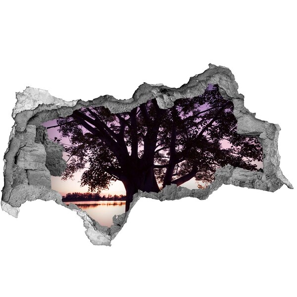 Samolepící díra na stěnu Západ slunce za stromem